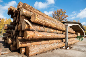 Электронные торги древесиной: современная система